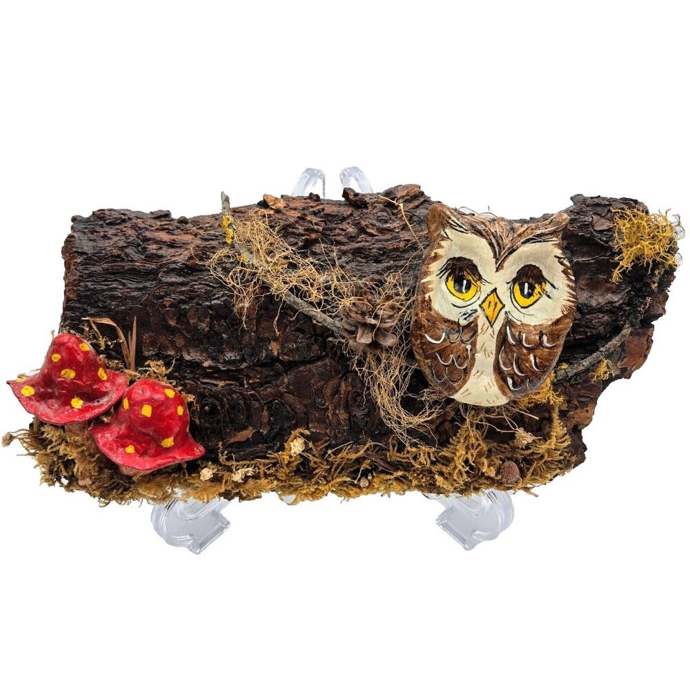 Wall Hanging Owl And Mushrooms On Bark Read